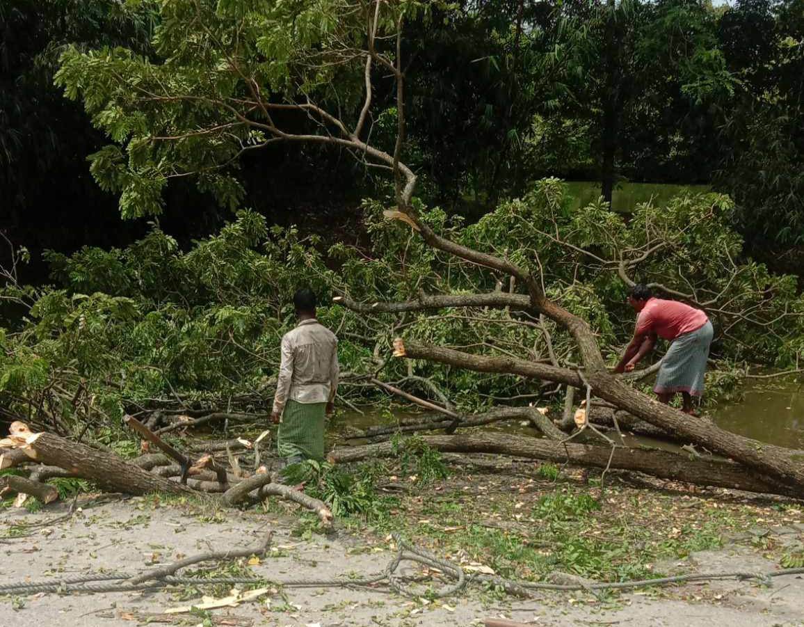 5b7c17f0-cec2-4184-8c56-3c86d14bdaa8