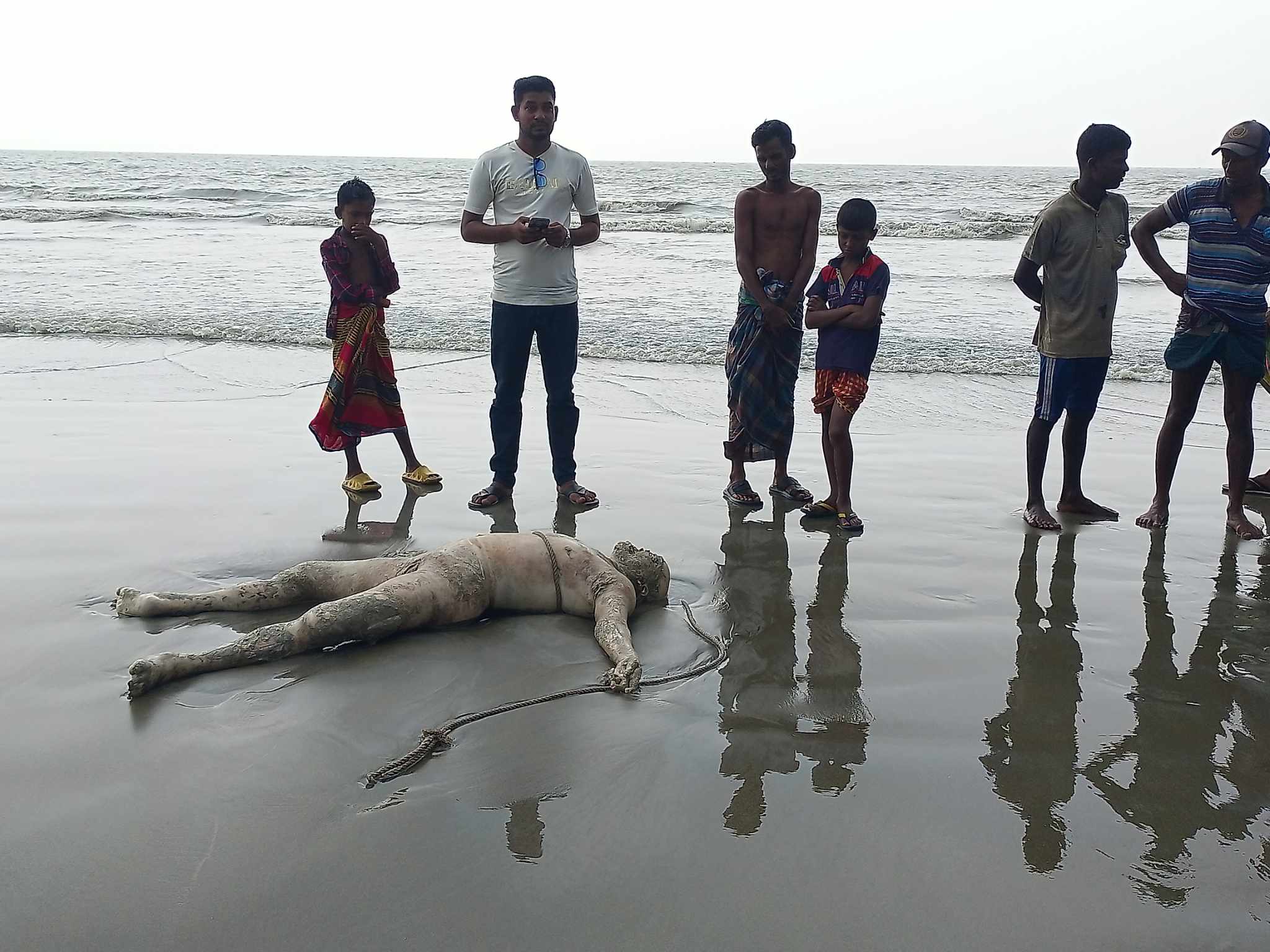 d4d552c8-c5f4-468a-8925-f1a351c632bd