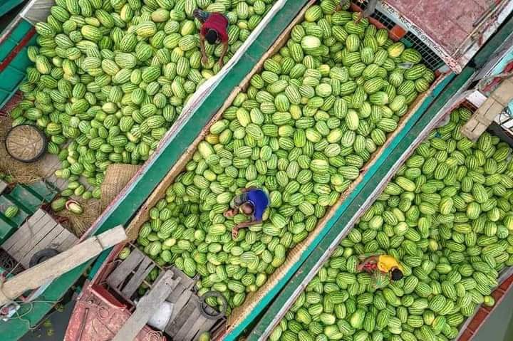 ecc84ae7-51ce-4bd8-b016-159571b7ba42