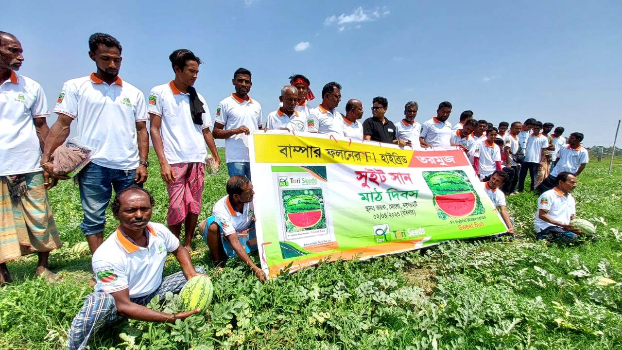 603568cb-d52e-43f8-913d-37a9f5466885