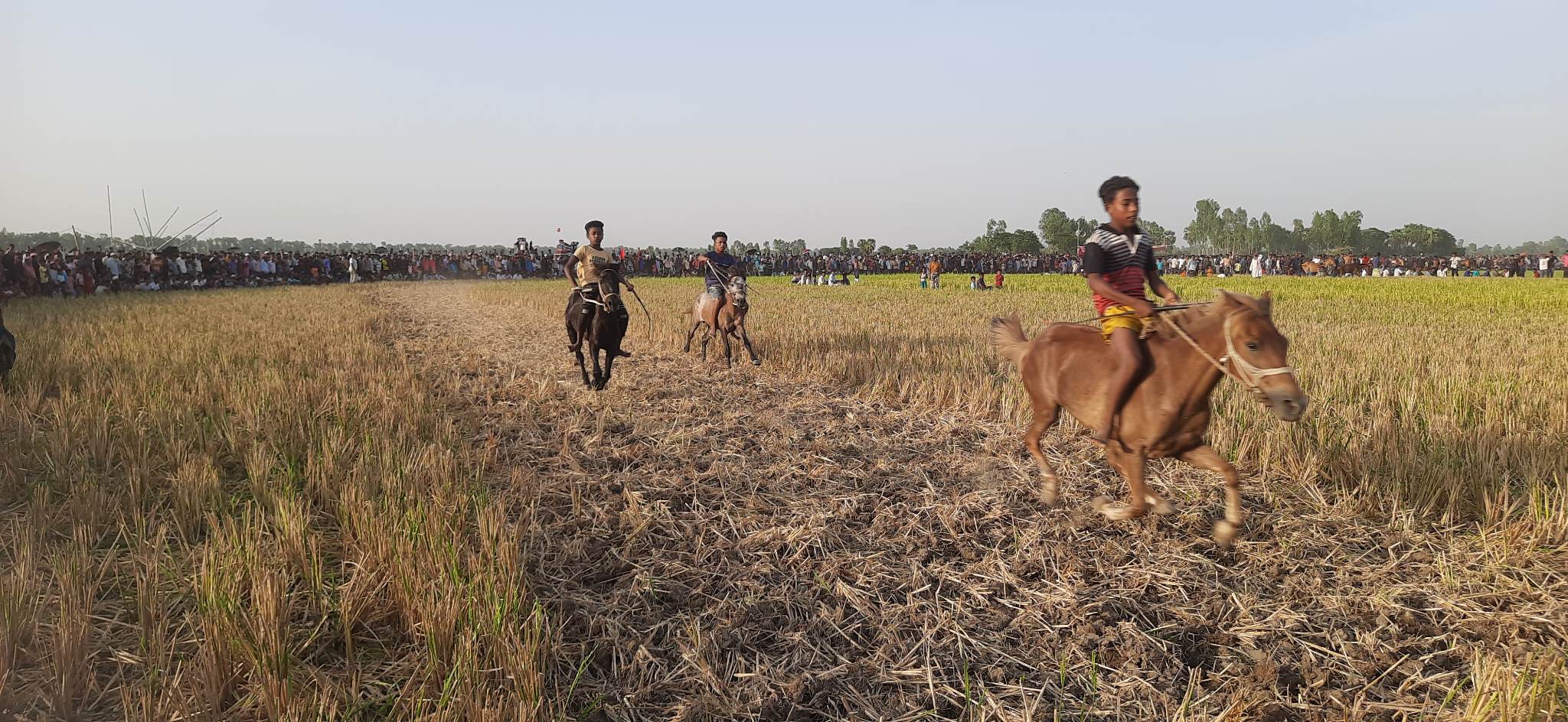 6f3a2d38-5865-418f-98ce-4f54a56bbfae