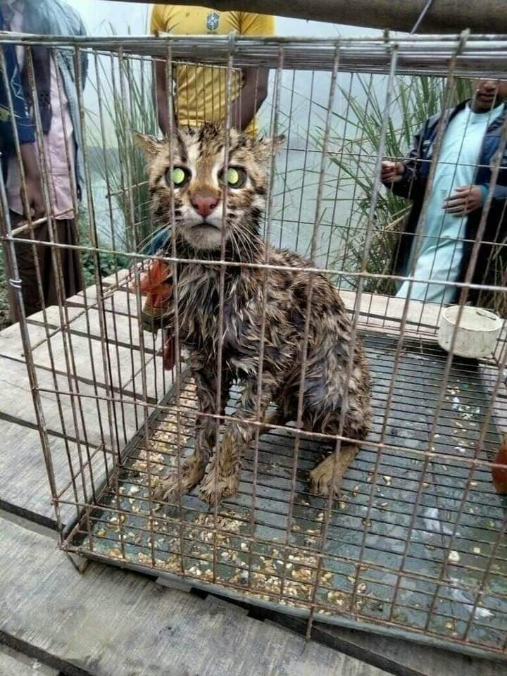 cf00fa39-92df-4f71-8db9-7324cd4cadbc