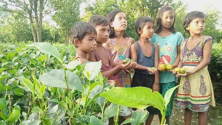 d8db8bc2-0195-4ede-82e3-5dab6906bfbc