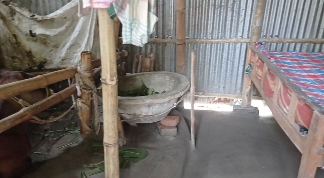 730d44e4-87cd-4cef-a9d8-bd0e47407b1c