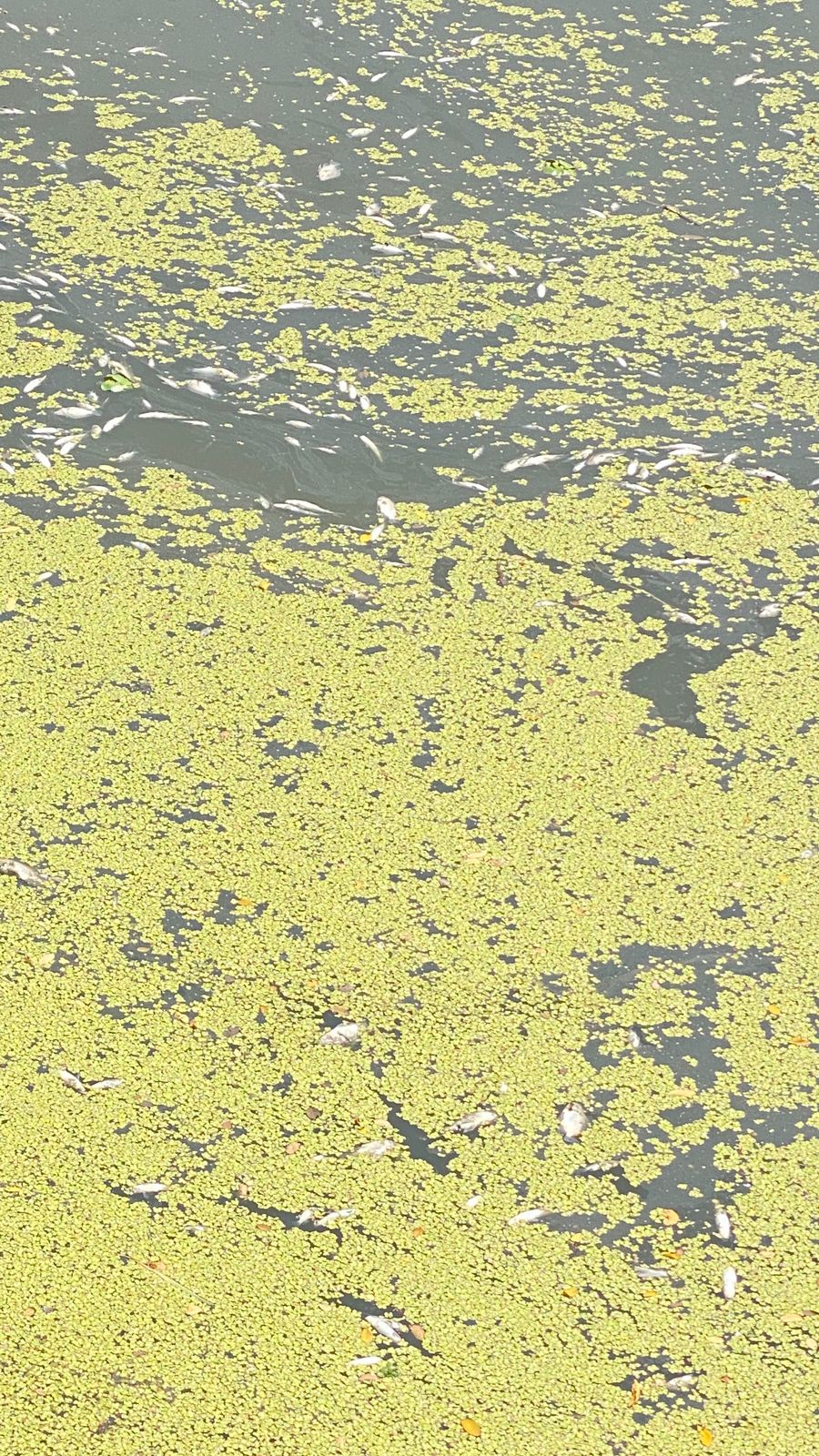 e6f7bdb9-95c7-4ab4-b3ea-e3da3424015a