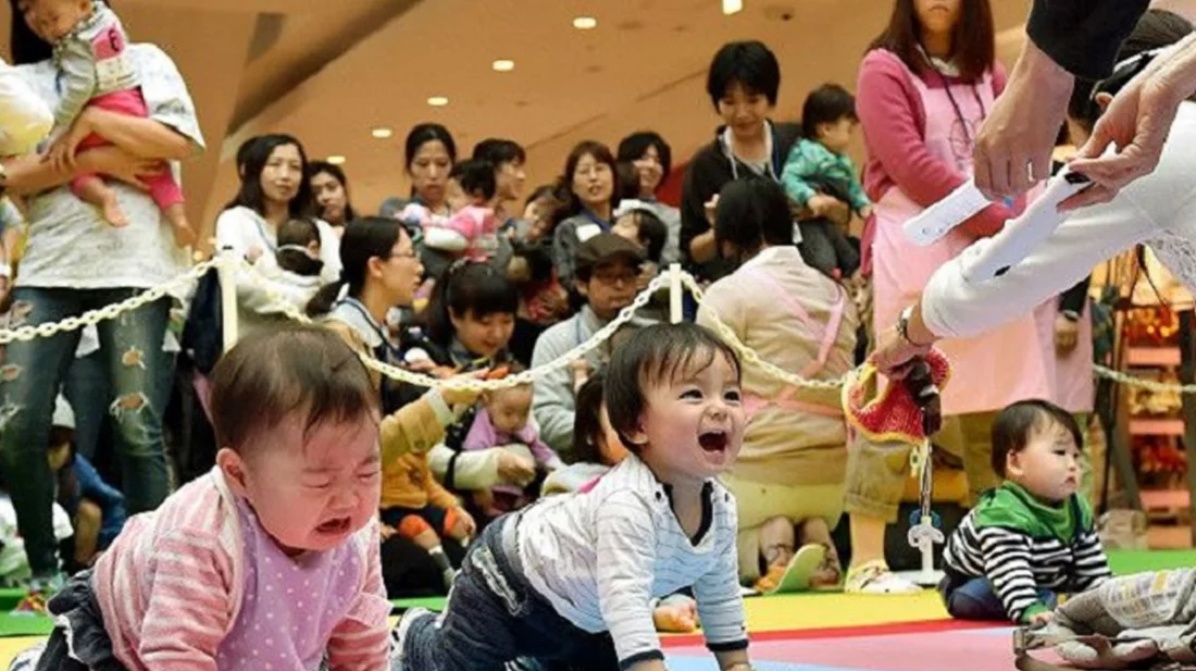 d8019b07-bd81-431a-98eb-68a5e5319669