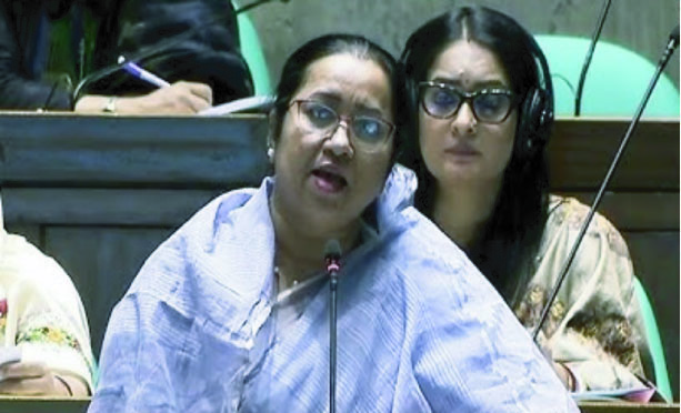 বিদেশের শ্রমবাজার হারানোর ঝুঁকিতে বাংলাদেশ: সংসদে নিলুফার চৌধুরী