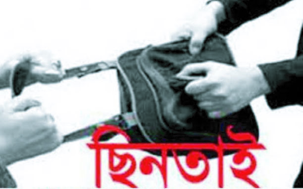 ব্যাগ ধরে টান ছিনতাইকারীর, সংসদ ভবনের সামনে রিকশা থেকে পড়ে শিক্ষিকার মৃত্যু
