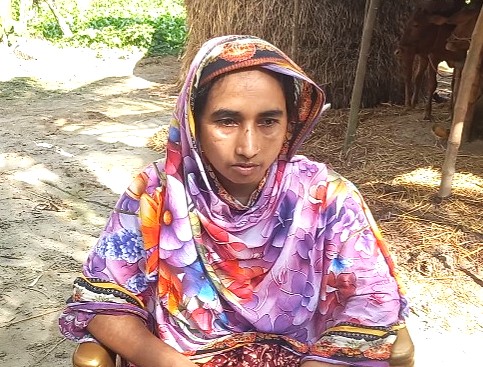 ঝিনাইগাতীতে গাছ বিক্রির কথা বলাকে কেন্দ্র করে নারীকে মারধরের অভিযোগ