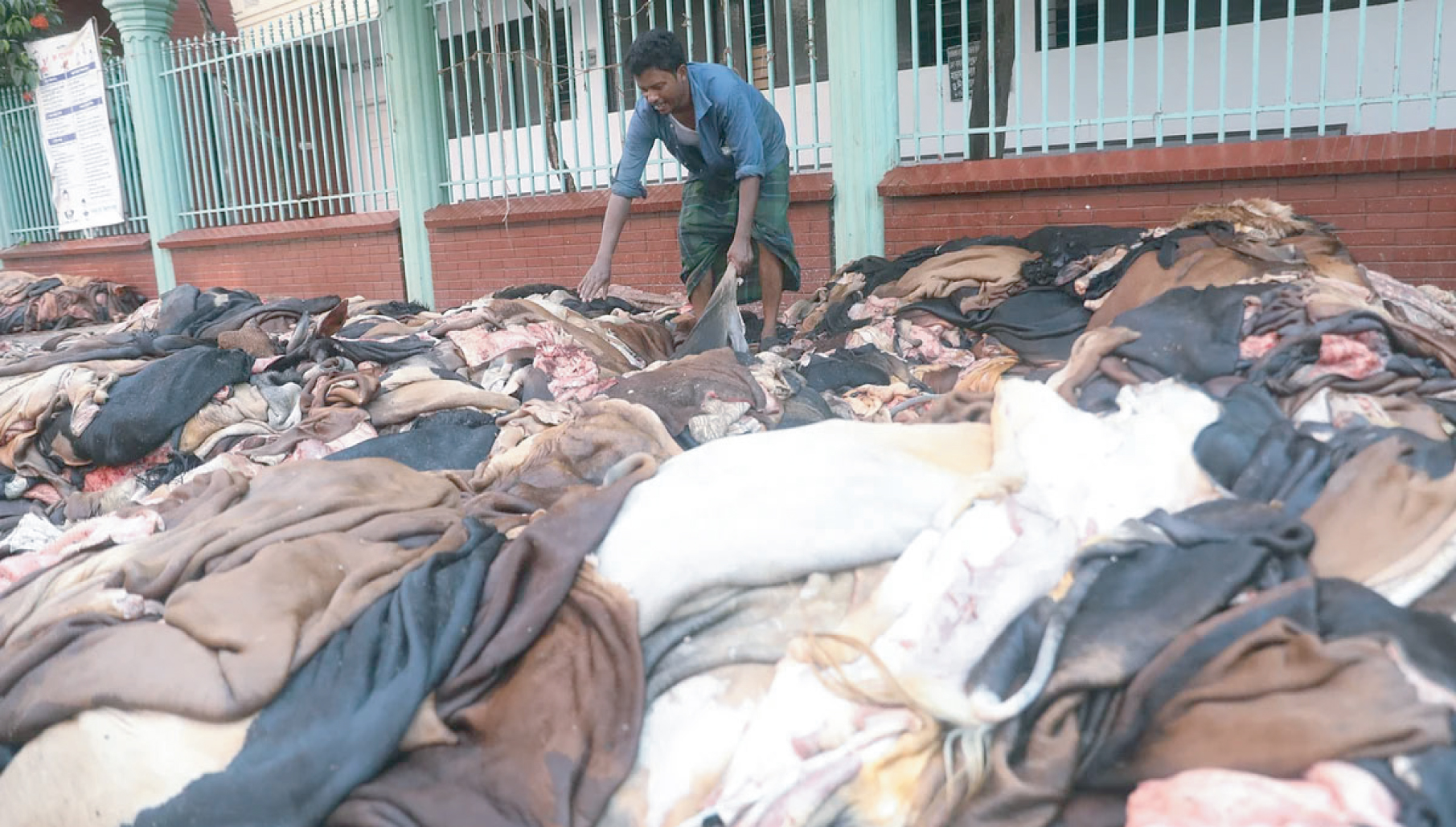 947eab1e-6d44-4d7e-9764-461a41e9944b