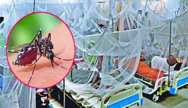 ২৪ ঘণ্টায় ডেঙ্গুতে ৮ জনের মৃত্যু, হাসপাতালে ভর্তি ১৭৮২ জন