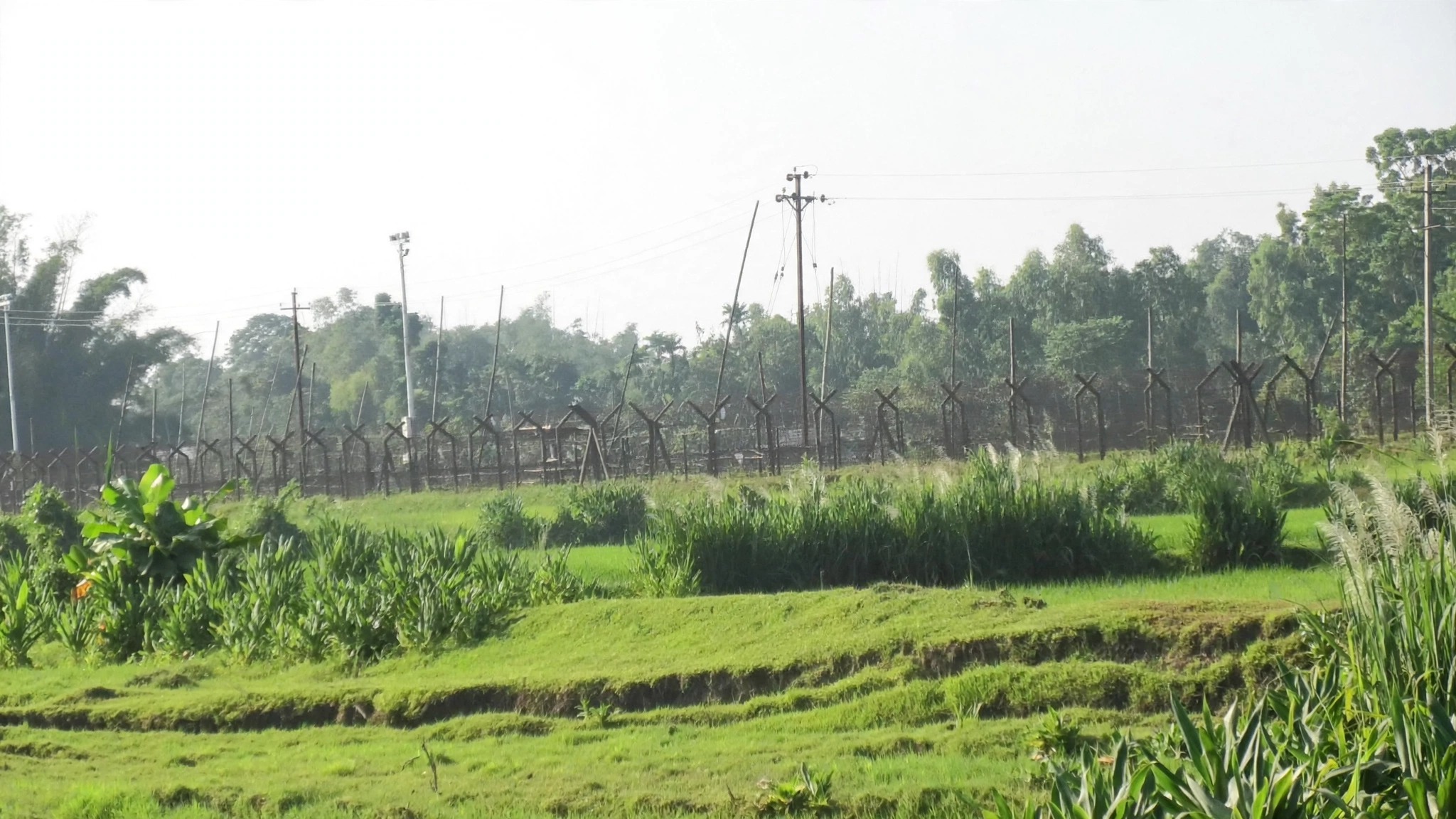 বুড়িমারী সীমান্তে পুশইনের চেষ্টা ব্যর্থ করল বিজিবি, শূন্যরেখায় অবস্থান