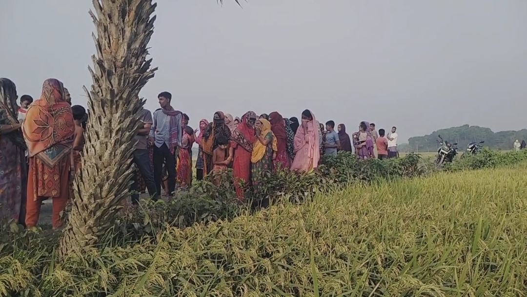 13bced69-e3f1-4038-8d60-bd3d3a1c3af241187