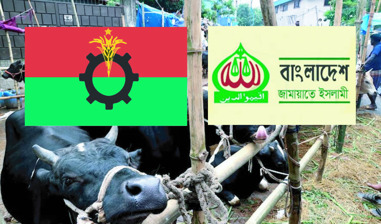 বিএনপি–জামায়াত টক্কর, রাজধানীর পশুর হাটে জমে উঠেছে ইজারা লড়াই