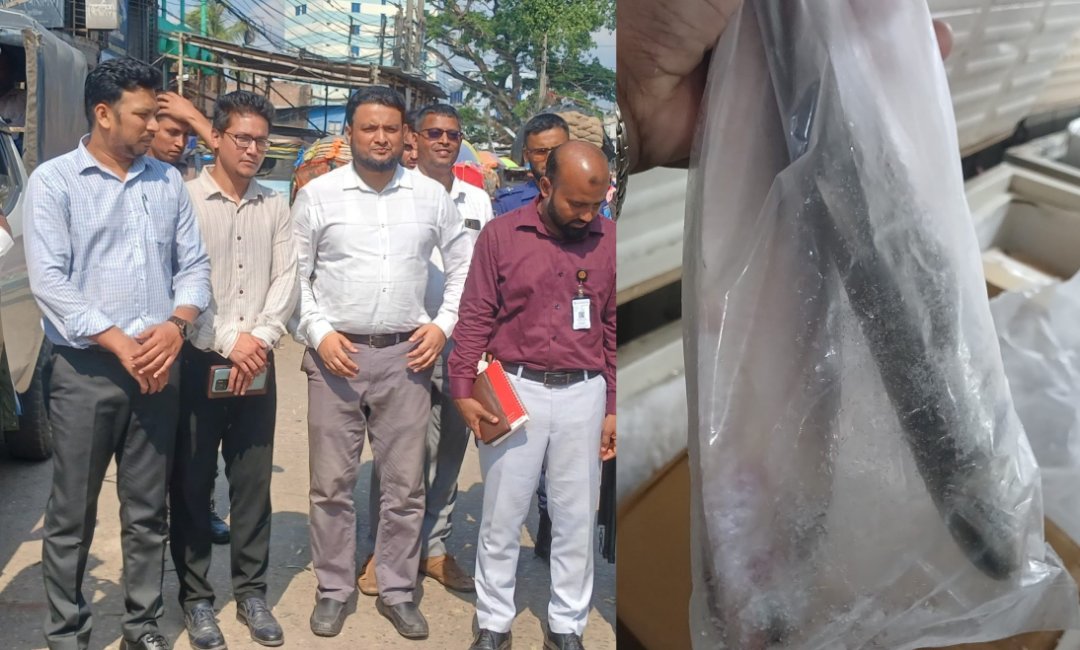 ফরিদপুরে মাছের গুদামে অভিযান:লাখ টাকা জরিমানা
