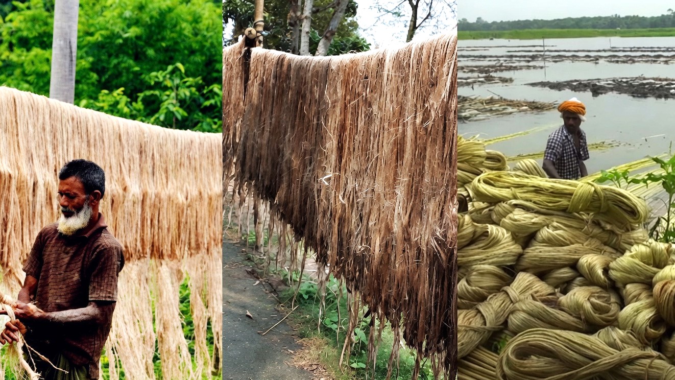 সালথায় পাটকল চান কৃষক-শ্রমিকরা, আশা কর্মসংস্থান ও ন্যায্য দাম