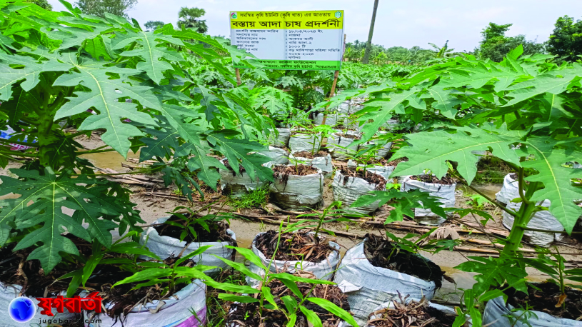 dda415aa-c2ce-470b-932e-8582402dfc2c