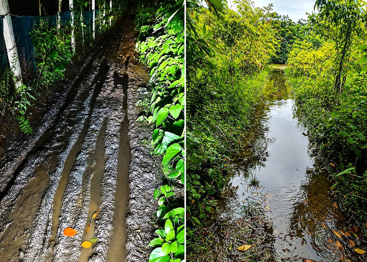 উজিরপুরের সাতলায় অর্ধশত পরিবারের একমাত্র কাঁচা সড়কের বেহাল দশা