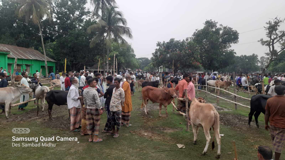 e751e241-80c9-4296-a3cc-f7bfa631a10c