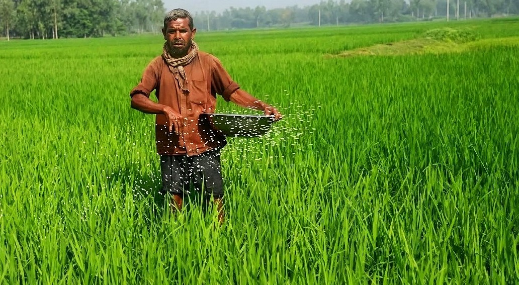 ডিজেলের মূল্যবৃদ্ধিতে চাপে ফরিদপুরের কৃষক, বাড়ছে উৎপাদন ব্যয়