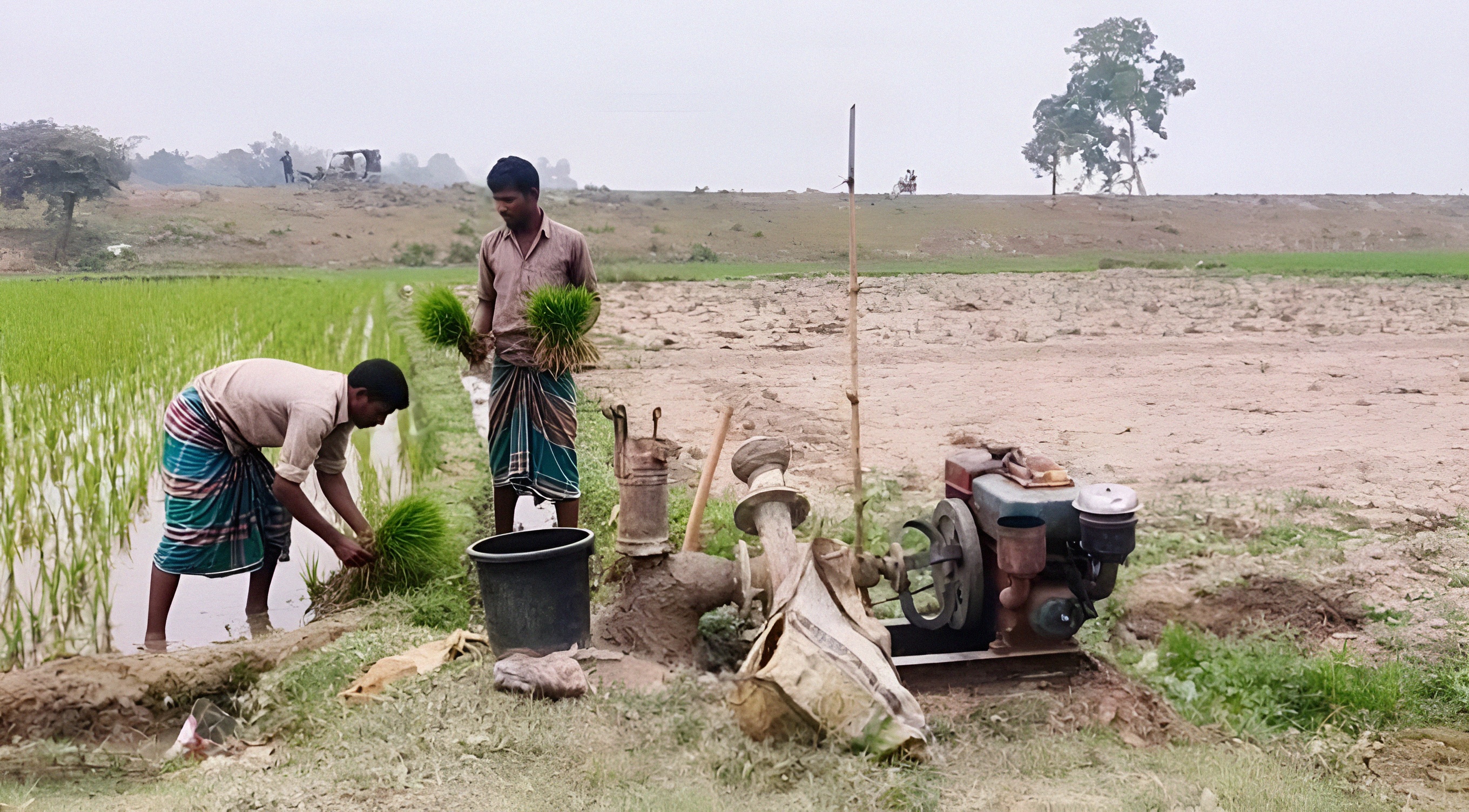 ফরিদপুরে জ্বালানি সংকটে সেচ ব্যাহত,উৎপাদনে অনিশ্চয়তার ছায়া