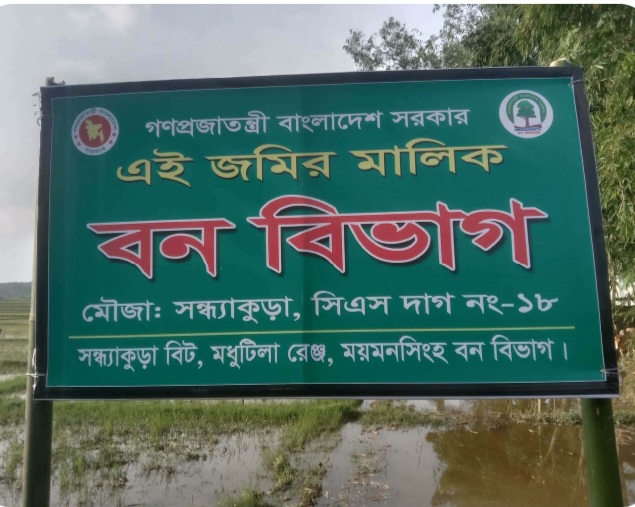 ঝিনাইগাতীতে আবারো বেদখল উদ্ধারকৃত বনের জমি।