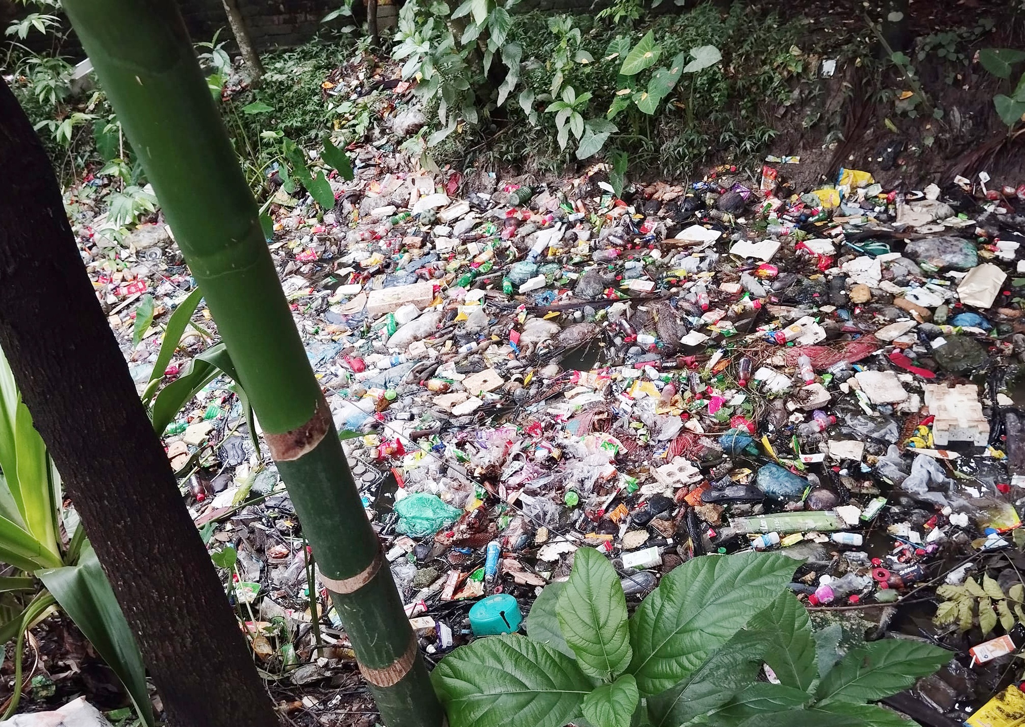 ecc2903e-11ce-46e7-942b-42c2355f03e525841