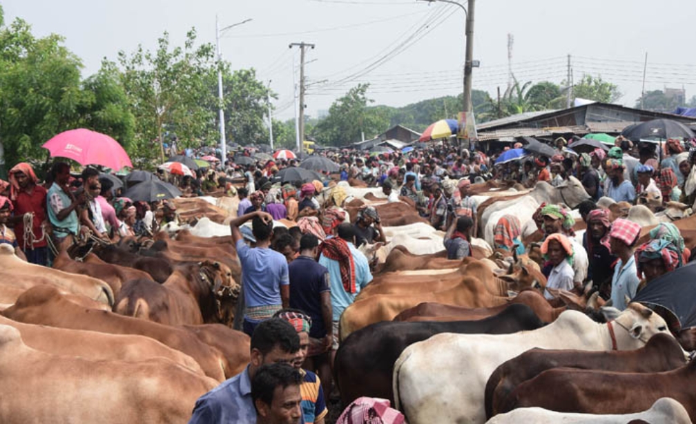 b788c452-b207-4832-b576-70a6c97b7e45