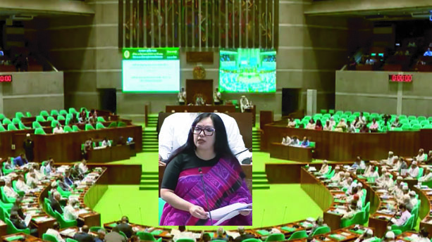 জ্বালানি সংকট ও তেলের দাম বৃদ্ধি নিয়ে সংসদে রুমিন ফারহানার তীব্র সমালোচনা
