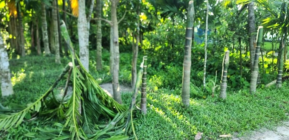 ত্রকোনায় জমি বিরোধে হামলায় আহত ২, স্বর্ণালংকার ছিনতাই ও ভাঙচুর