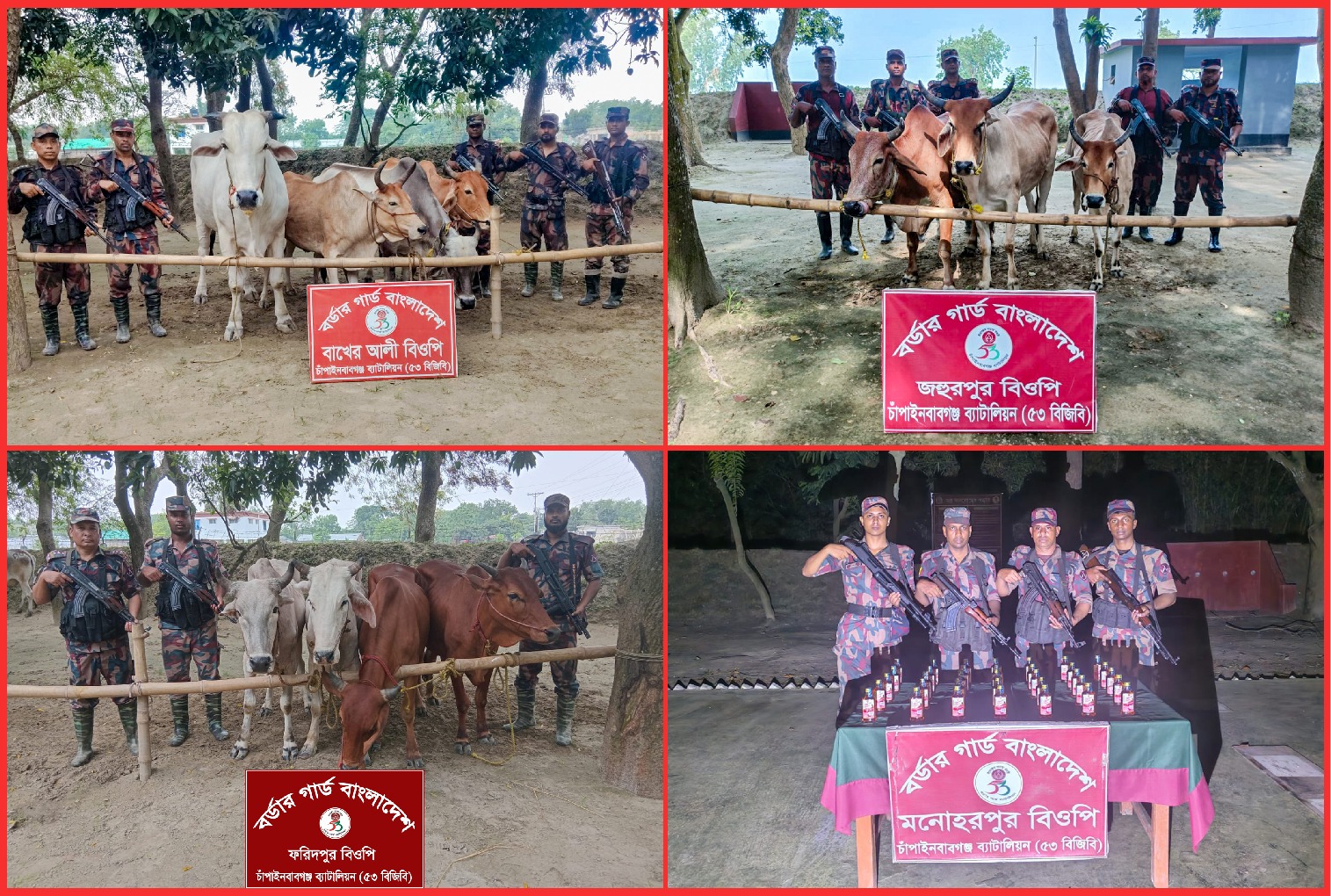 চাঁপাইনবাবগঞ্জ সীমান্তে ১৪টি গরু ও ভারতীয় মদ জব্দ