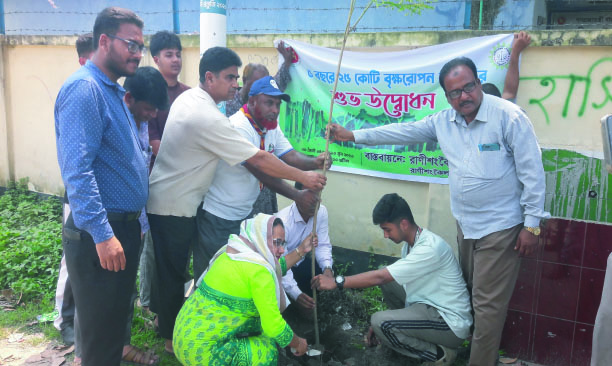রাণীশংকৈলে পৌর প্রশাসকের বৃক্ষরোপণ কর্মসূচির উদ্বোধন