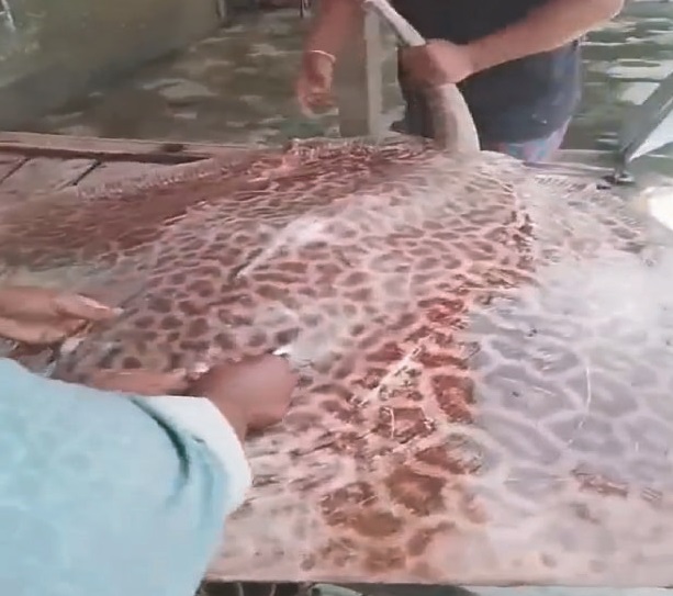 44fd71f3-050a-4029-8e1c-0a4434b9776940981