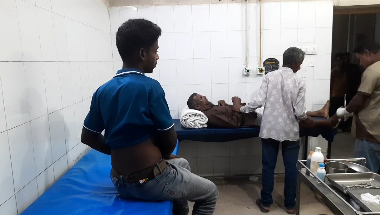 পঞ্চগড়ে রাতের আঁধারে শিয়ালের হামলা, আহত ৭