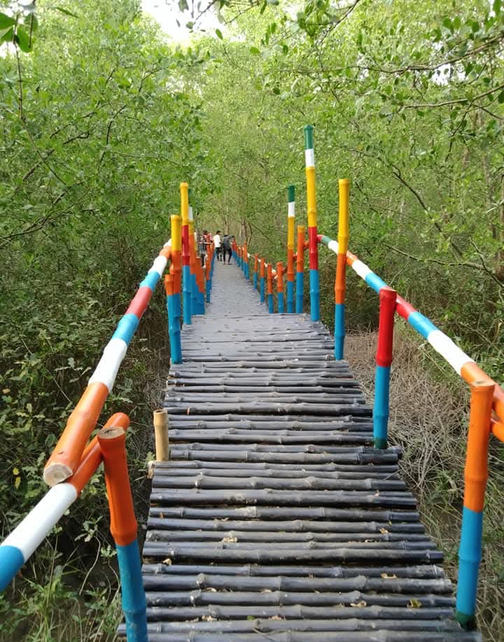 অযত্নে হারাচ্ছে জৌলুশ, সম্ভাবনাময় শ্যামলী নিসর্গ ম্যানগ্রোভ