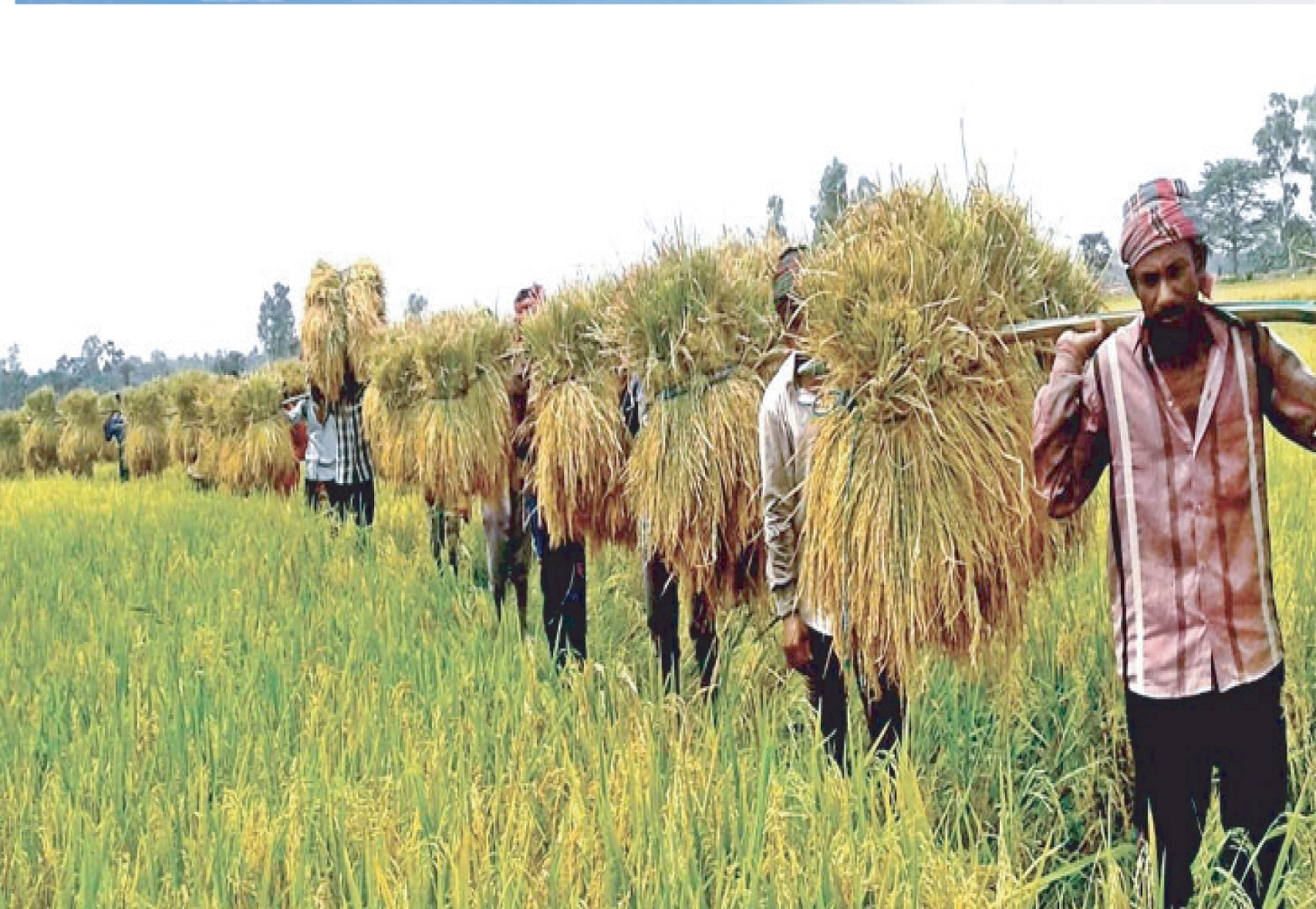 17838e60-57ab-4302-9496-0d4984cffcd6