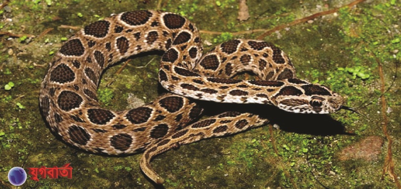 3627c676-3371-4a63-b636-5d48ec8ce8a9