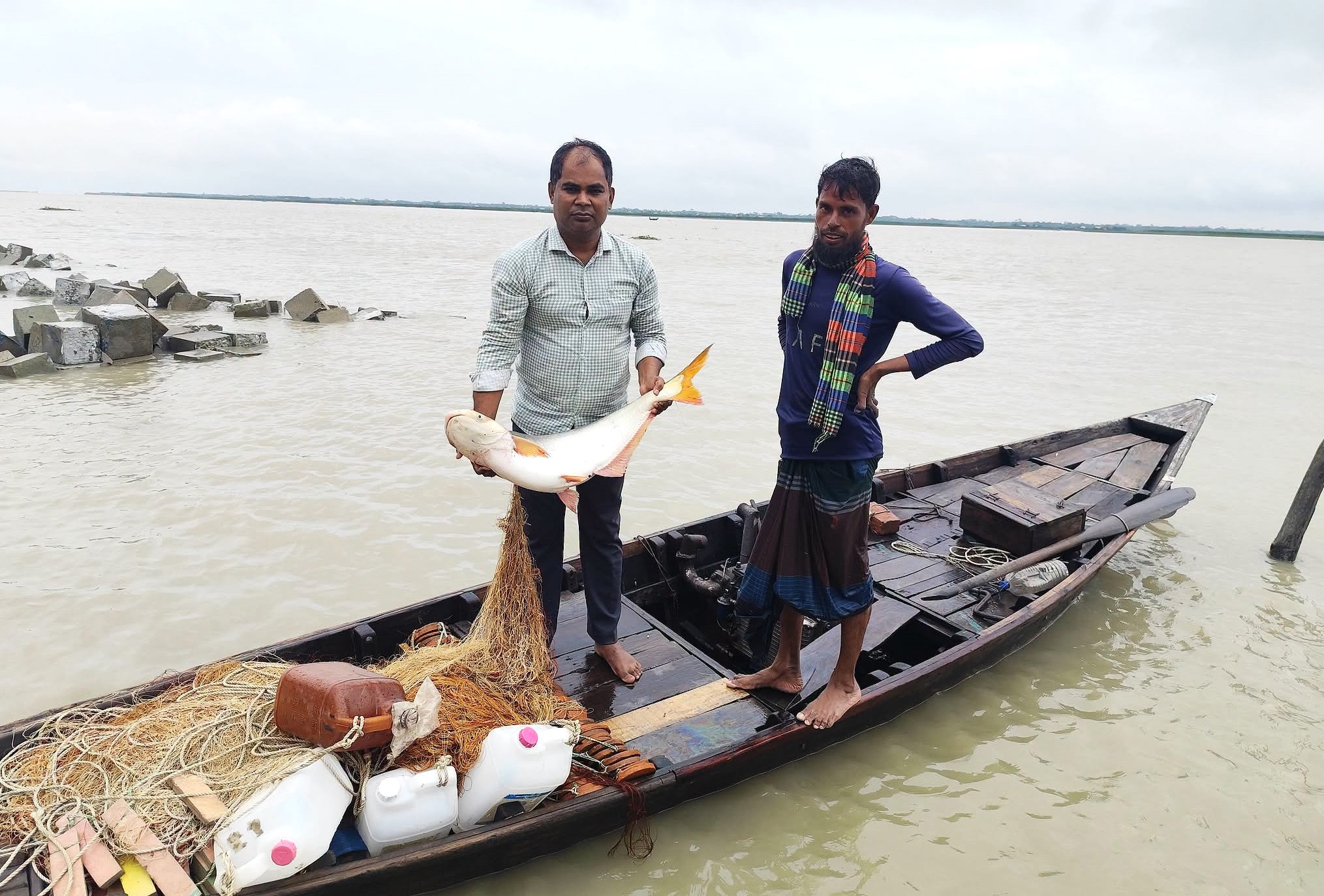 নদীতে বিশাল পাঙাশ: ইলিশ রক্ষার পরোক্ষ সুফল নাকি সতর্কবার্তা?