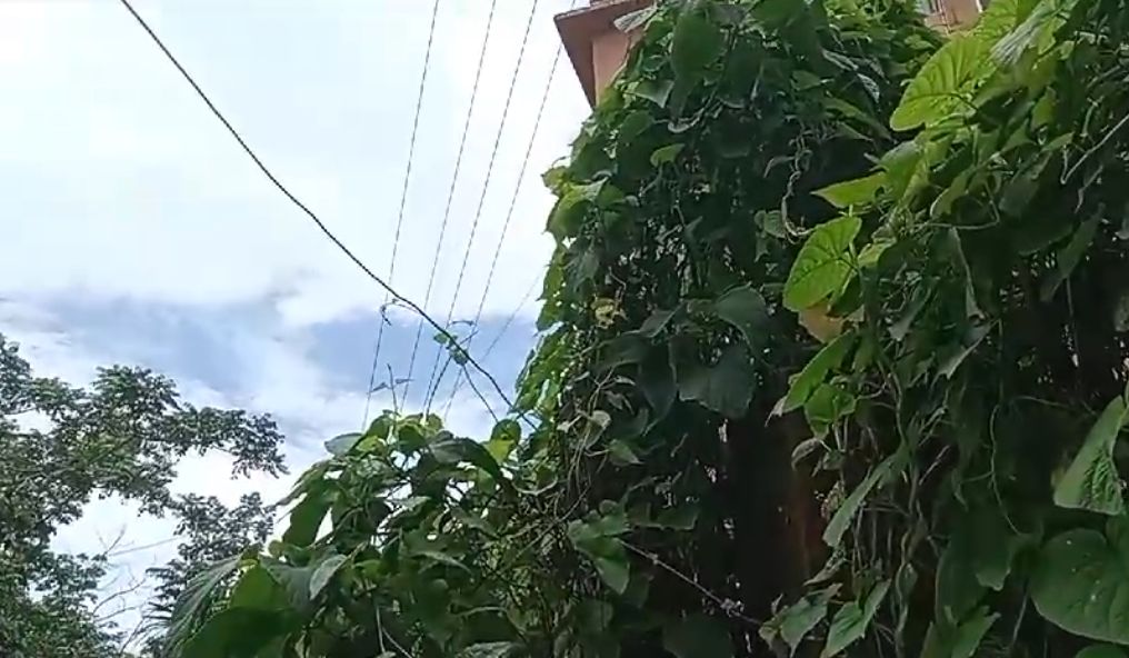 41620b9c-c178-494e-bc14-991c781111ca26030