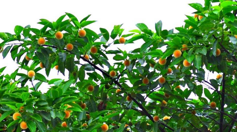 39498905-df04-4b26-be4f-c39305d9884f