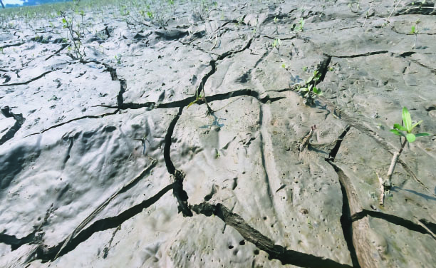 শক্তিশালী এল নিনোর প্রভাবে বাড়বে তাপমাত্রা: ডব্লিউএমও