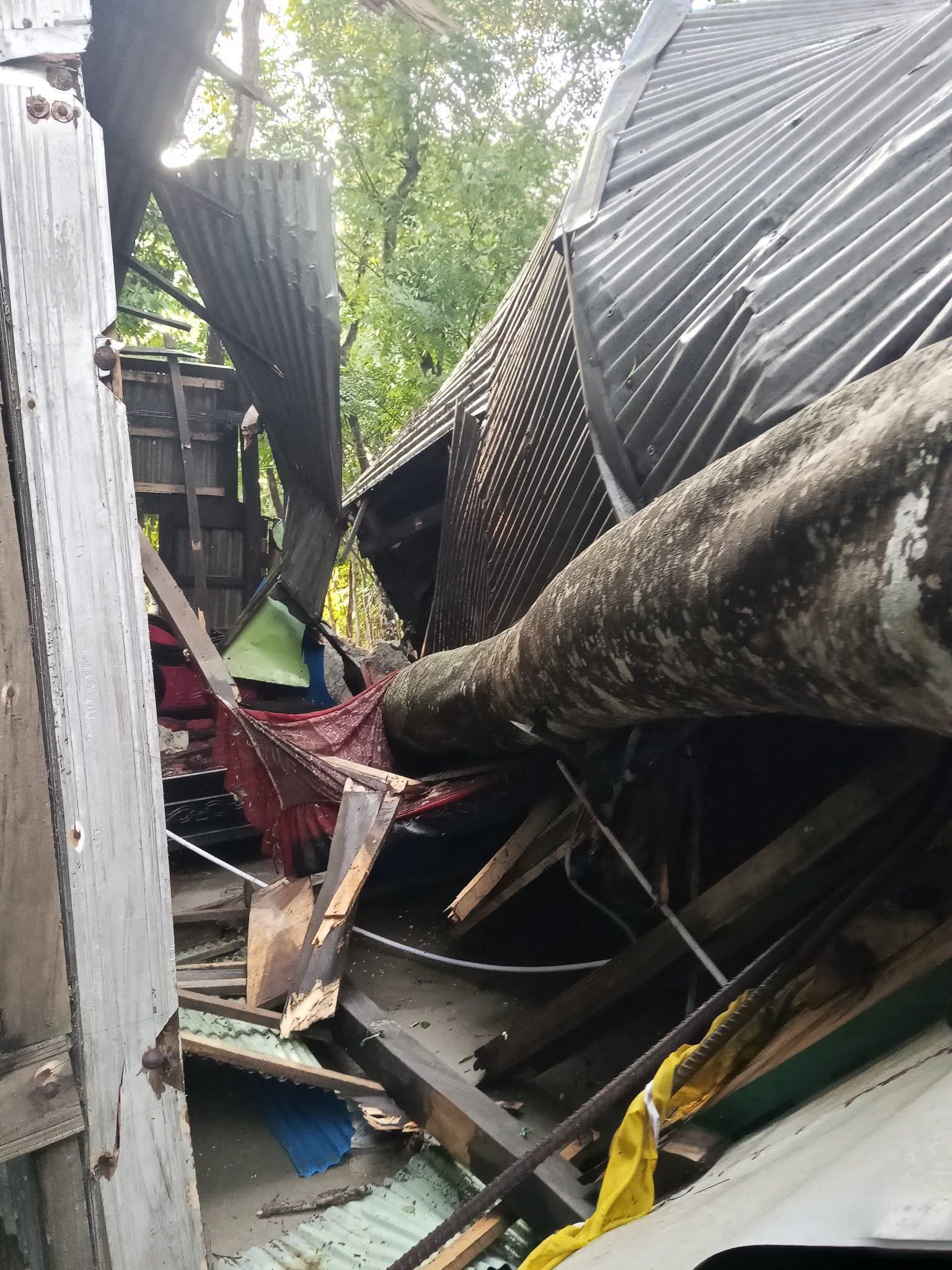 বানারীপাড়ায় কালবৈশাখী ঝড়ে ঘরের ওপর গাছ পড়ে গৃহবধু নিহত শিশুপুত্র আহত