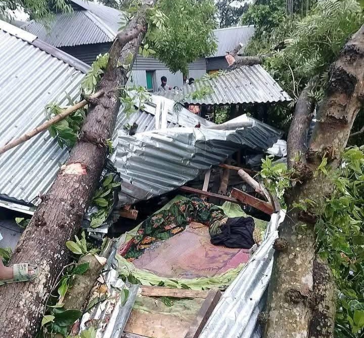 জামালপুরে ঝড়ে গাছ উপড়ে পড়ে মা ও ২ মেয়ে নিহত