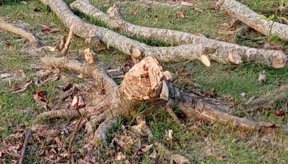 e5db5d94-705d-4f5d-a055-8972ee62c02f41004