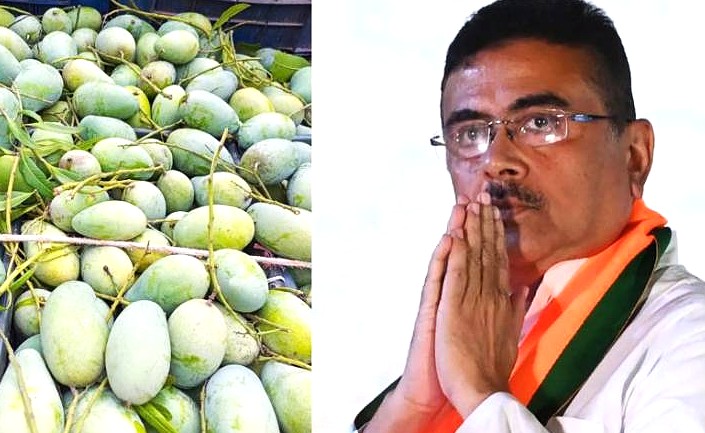 পশ্চিমবঙ্গের মুখ্যমন্ত্রী শুভেন্দু অধিকারীকে ৫০০ কেজি আম পাঠালো বাংলাদেশ