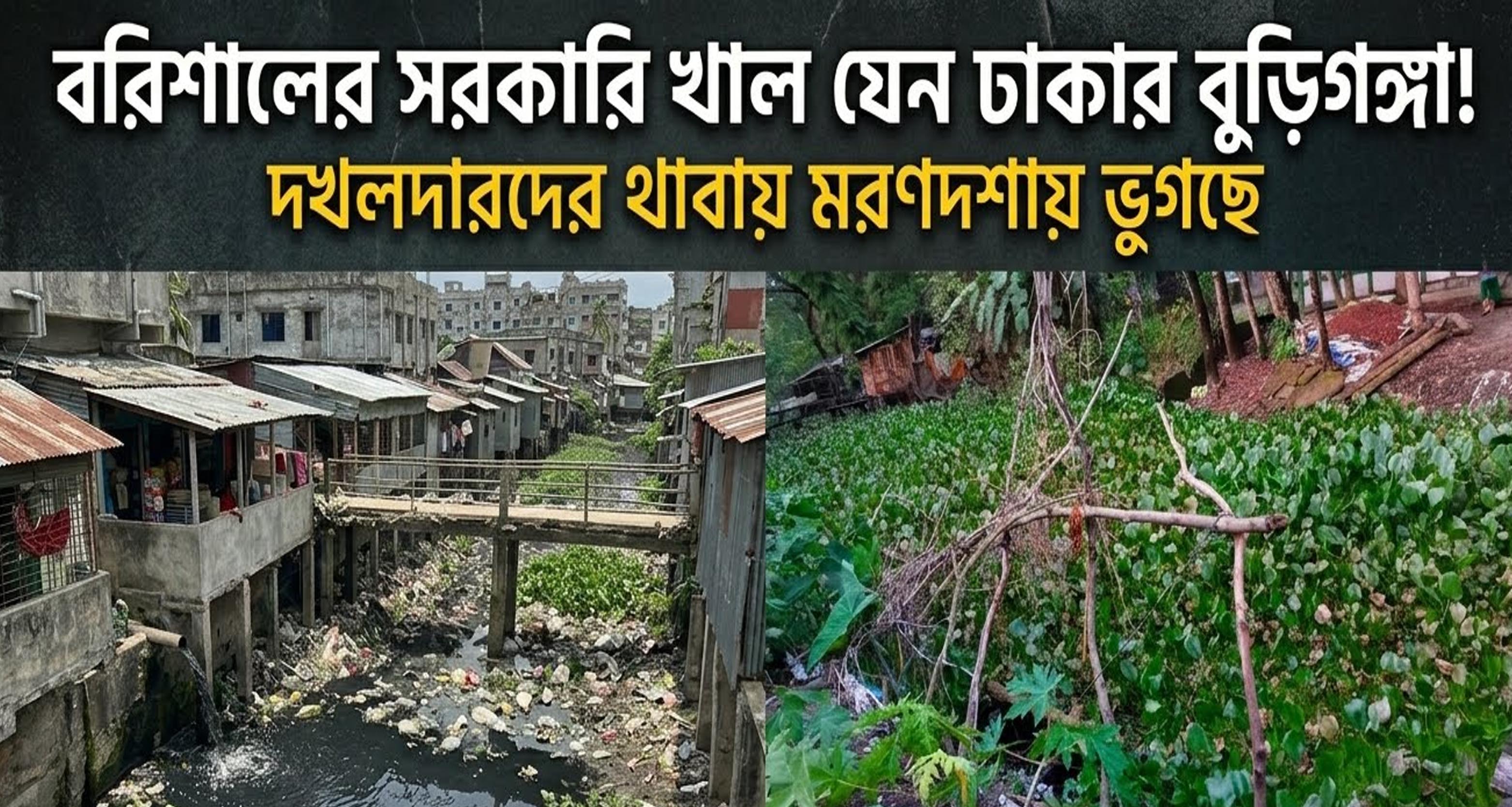 বরিশালের সরকারি খাল যেন ঢাকার বুড়িগঙ্গা! দখলদারদের থাবায় মরণদশায় ভুগছে