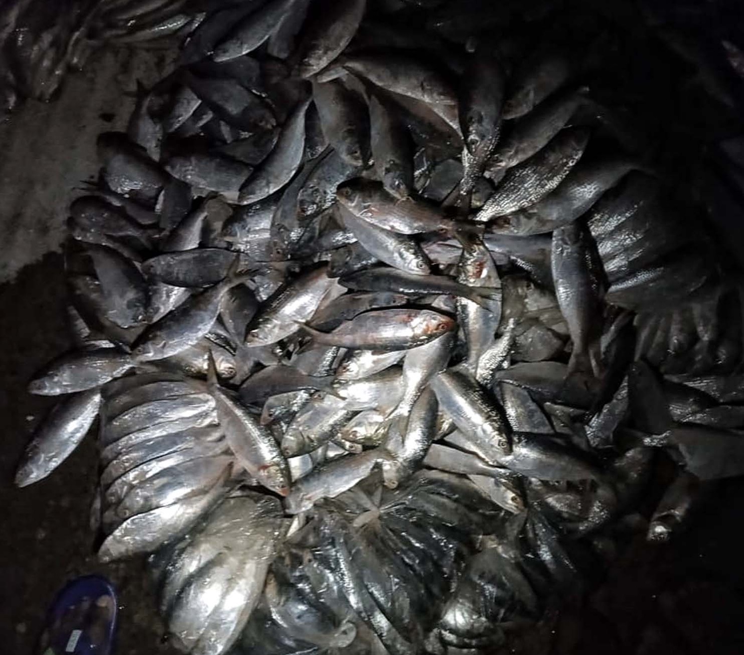 5e9d85dd-d519-4fc4-86ba-df0390b8ead225898