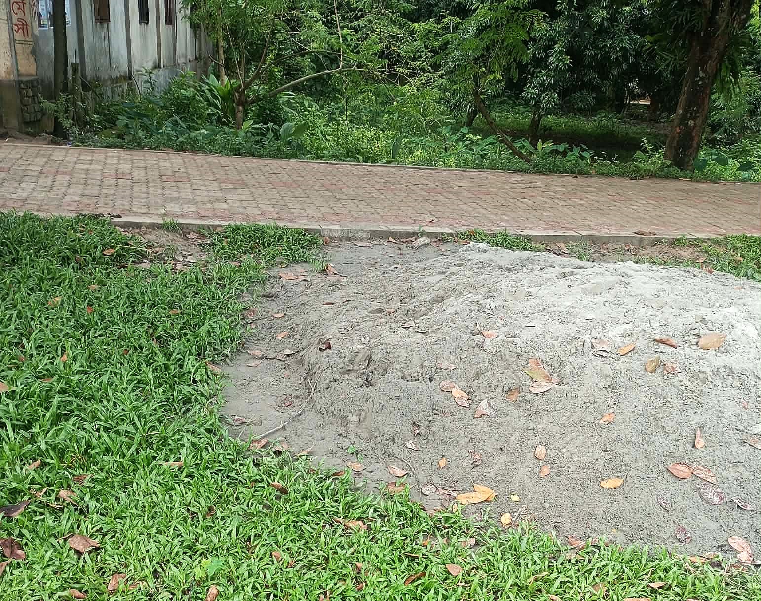 শ্রীপুরে সরকারি রেকর্ডভুক্ত রাস্তায় ইটের সলিং নির্মাণে বাধার অভিযোগ