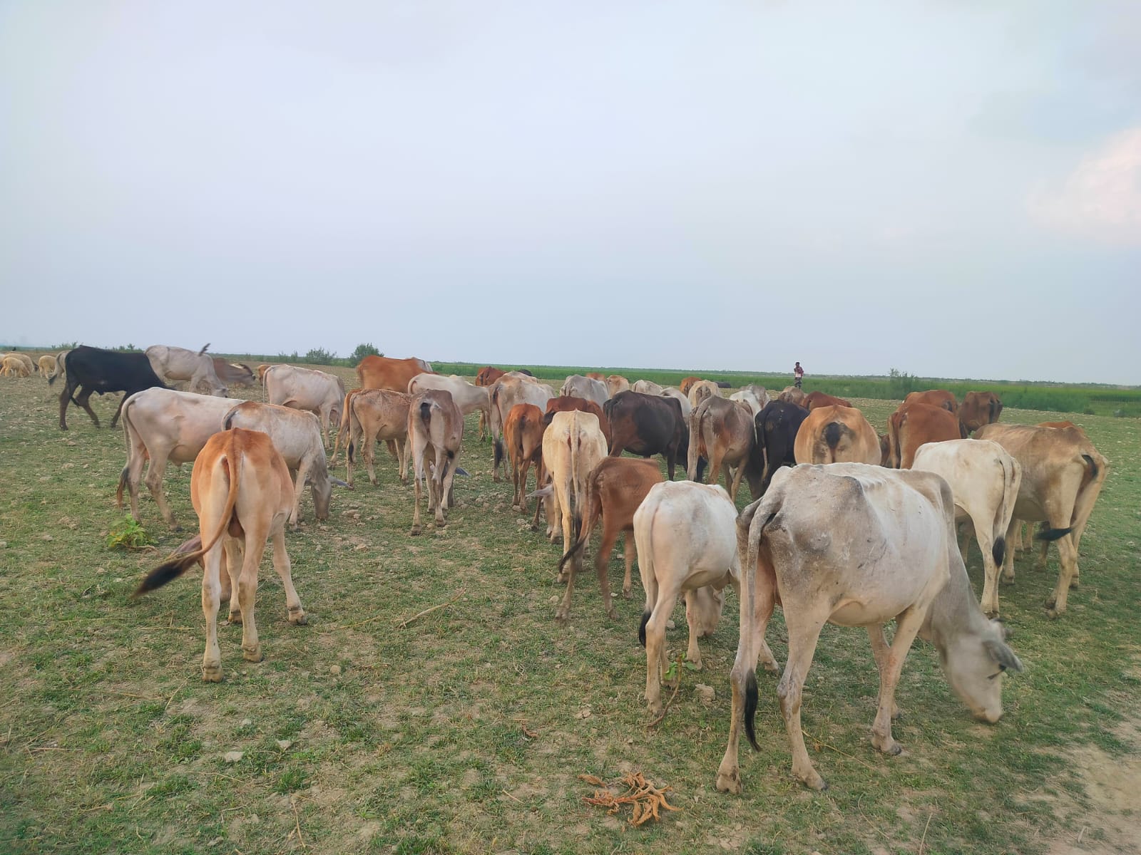 2c64f96d-45ec-48e8-9e25-e2ecccc2b60741107