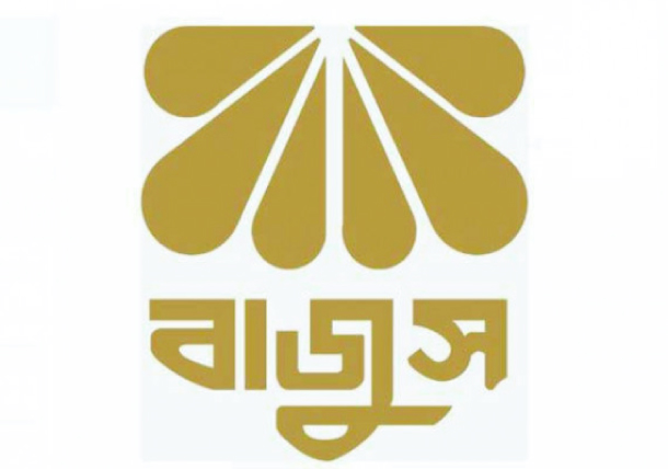 বাজুস: ব্যক্তির দায়ে পুরো খাতকে দায়ী করবেন না